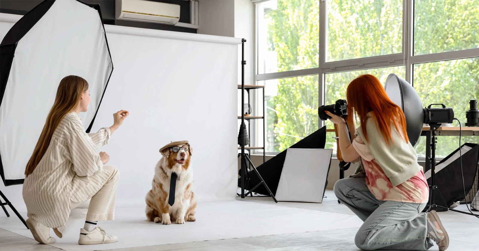fotografia-de-mascotas
