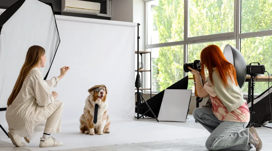 fotografia-de-mascotas
